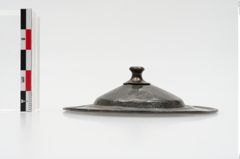 Foto von Bronzephalere (NHMW-PRAE-025078)